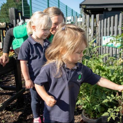 Herb garden